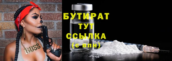 индика Каменка