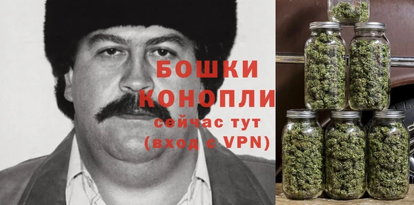 трава Абаза