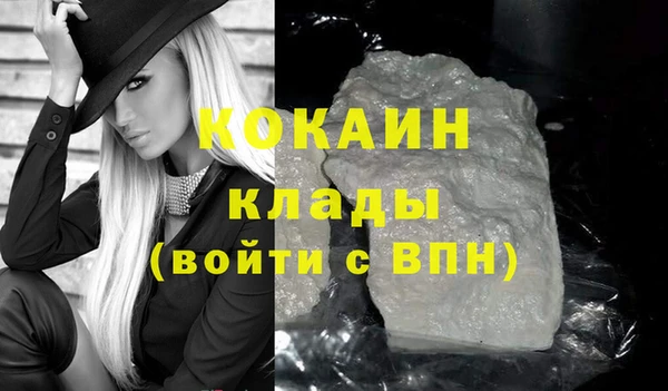 дживик Елизово
