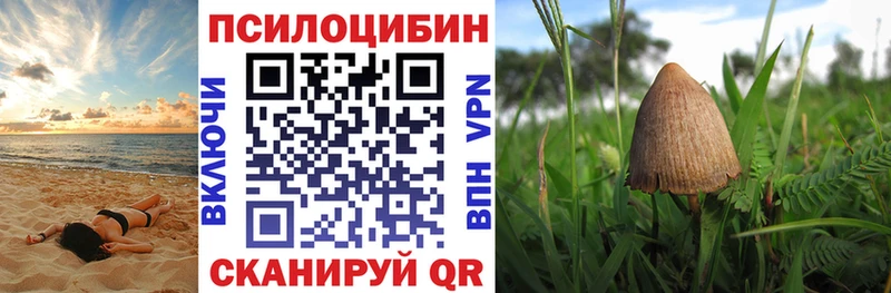 Псилоцибиновые грибы прущие грибы  кракен ССЫЛКА  Ростов-на-Дону 